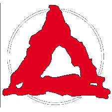 Triad Martial Arts Academy